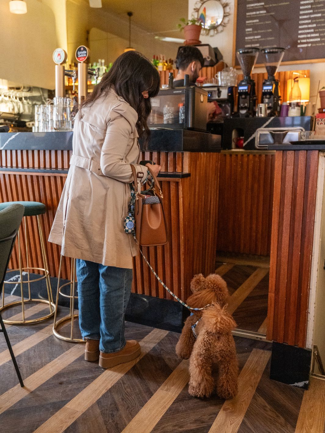 HARNAIS RÉGLABLE KALEIDO RETRO TIDE POUR CHIEN