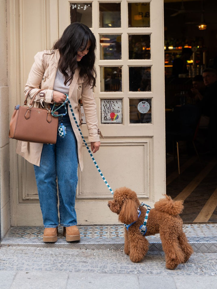 LAISSE KALEIDO RETRO TIDE POUR CHIEN
