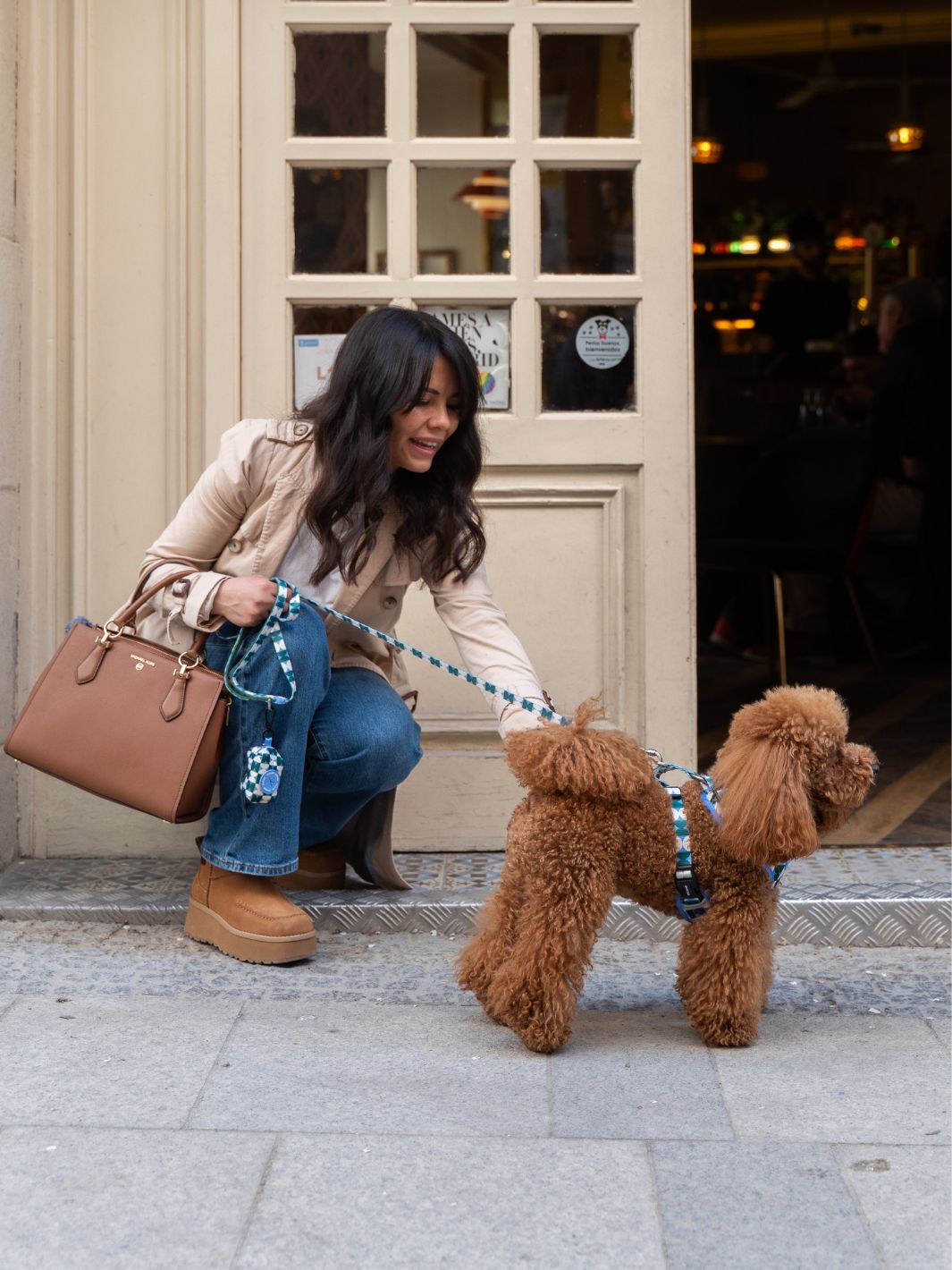 HARNAIS RÉGLABLE KALEIDO RETRO TIDE POUR CHIEN