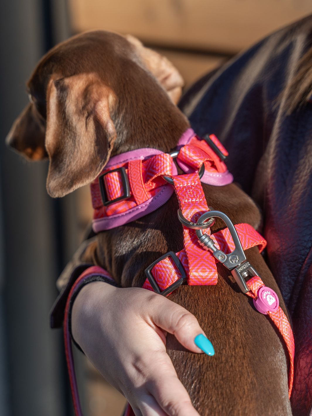 ARNÉS AJUSTABLE PARA PERRO KALEIDO PINK GRID