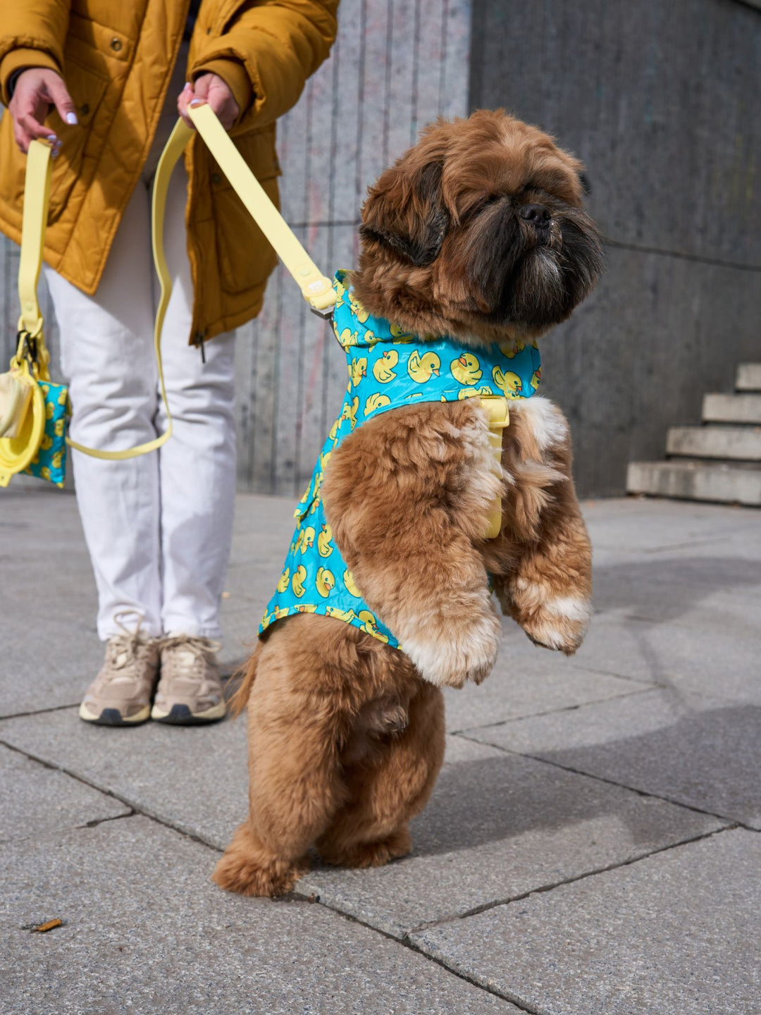 RAINCOAT FOR DOG DUCKS