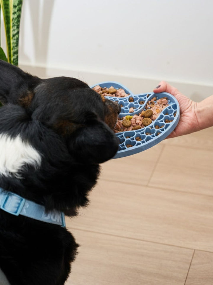 LICK MAT POUR CHIEN BLUE LOVE