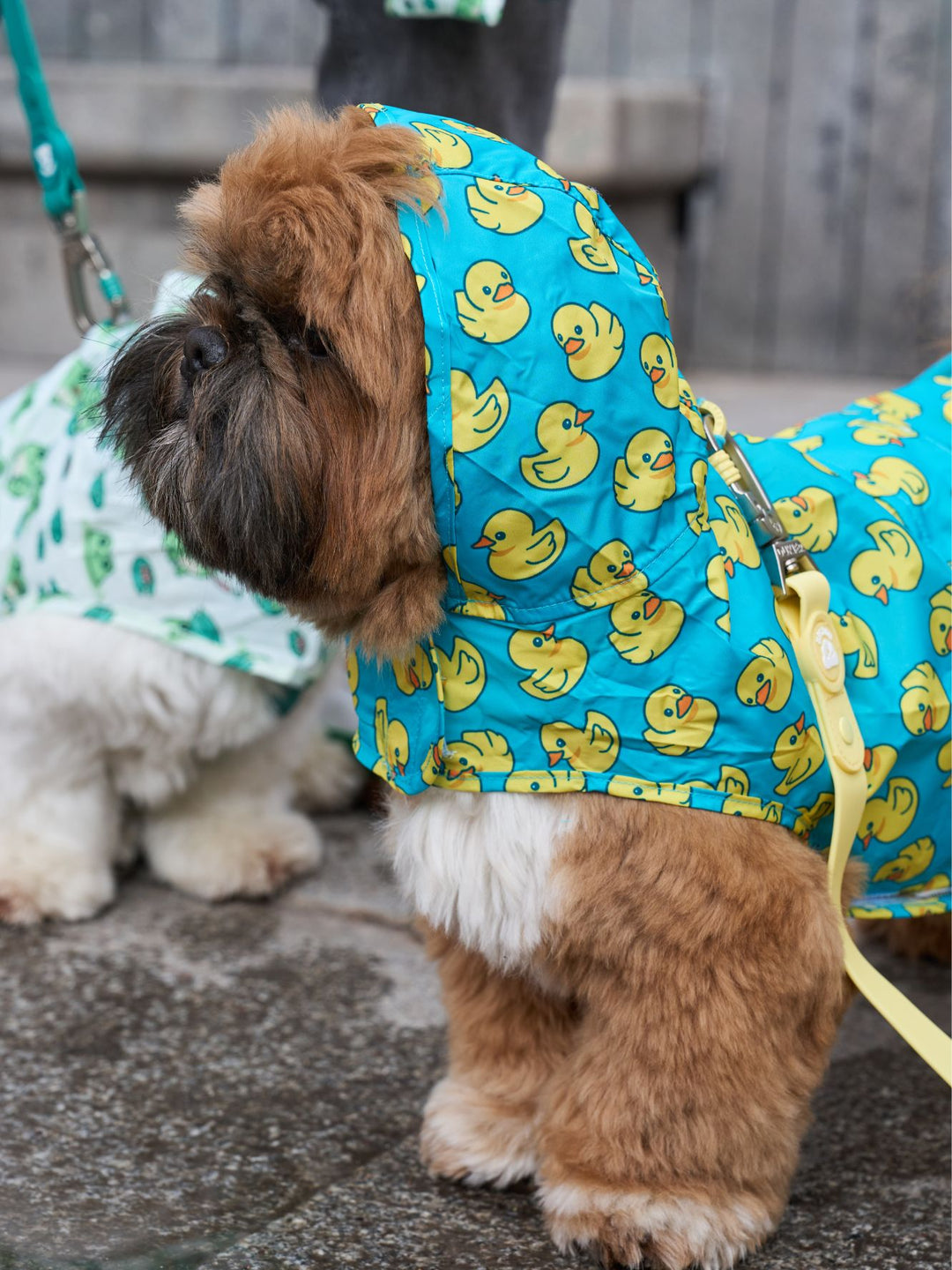 RAINCOAT FOR DOG DUCKS
