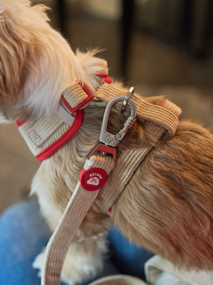 ADJUSTABLE DOG HARNESS LOVE