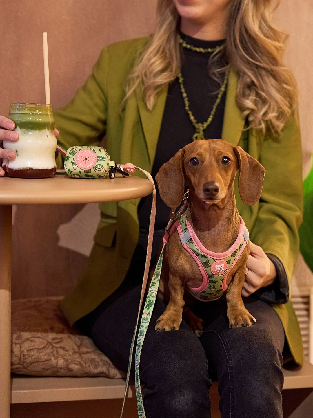 BODY HUNDEGESCHIRR SO MATCHA