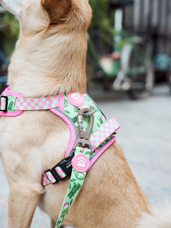 HUNDELEINE SO MATCHA