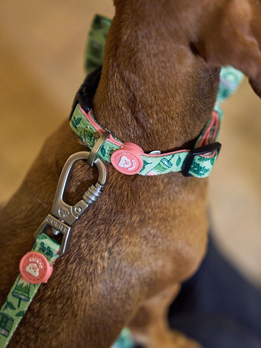 HUNDEHALSBAND SO MATCHA