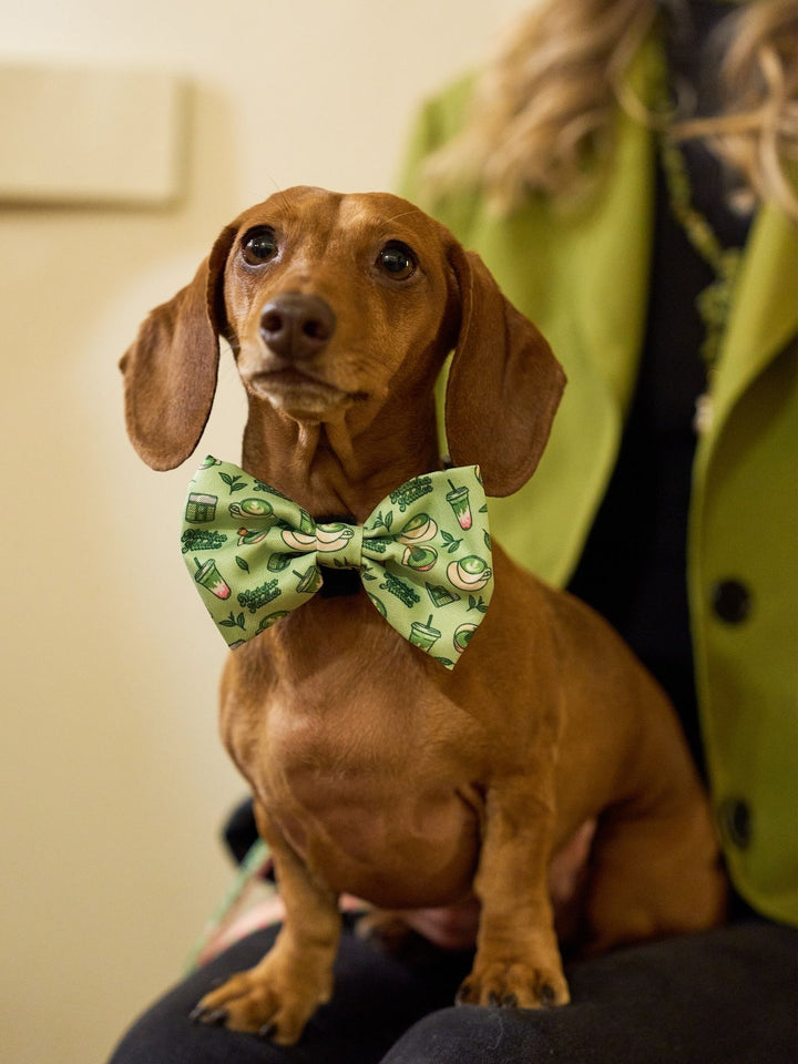 HUND FLIEGE SO MATCHA