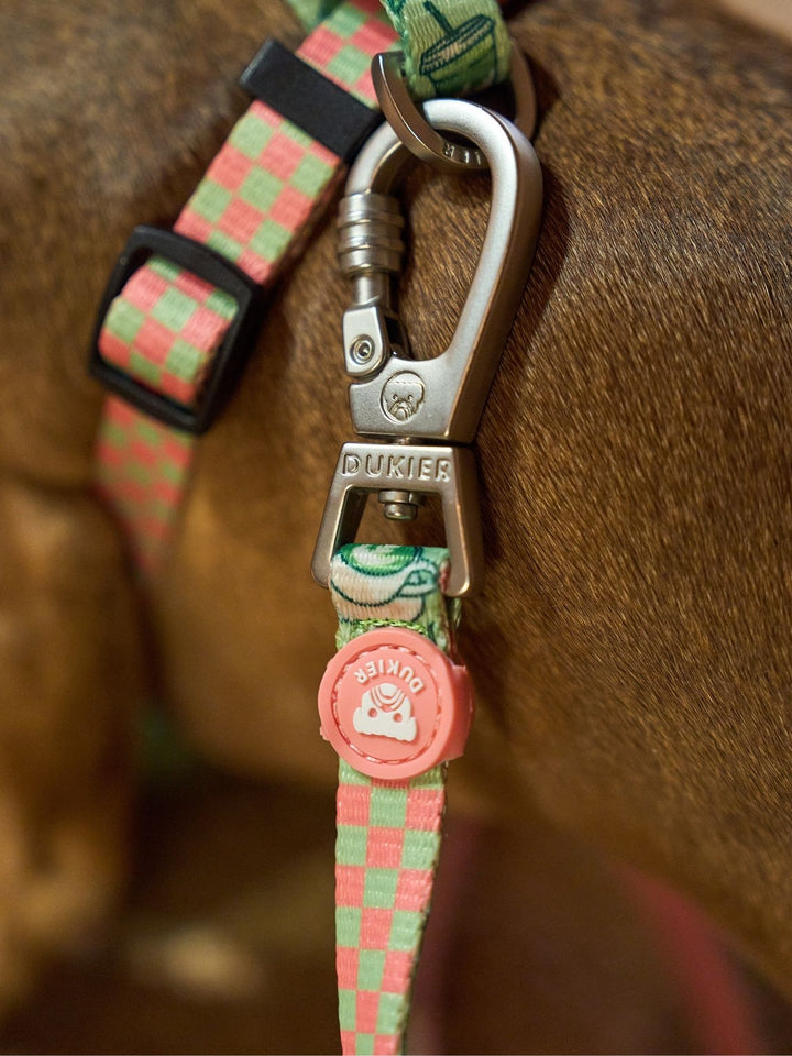 HUNDELEINE SO MATCHA