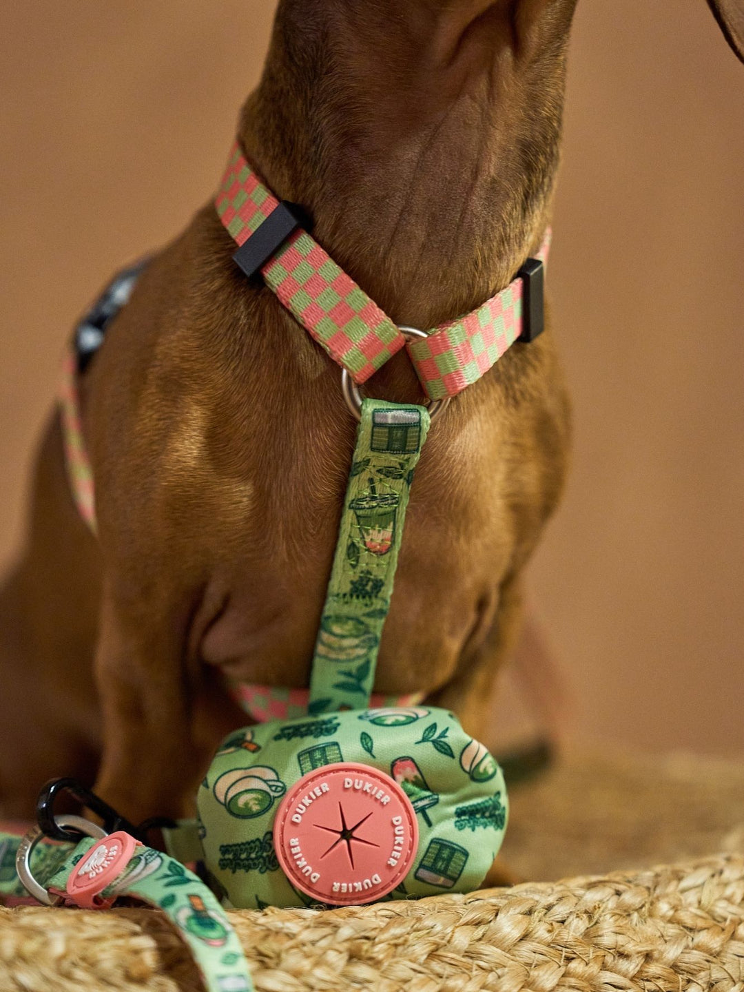 KLASSISCHES HUNDEGESCHIRR SO MATCHA