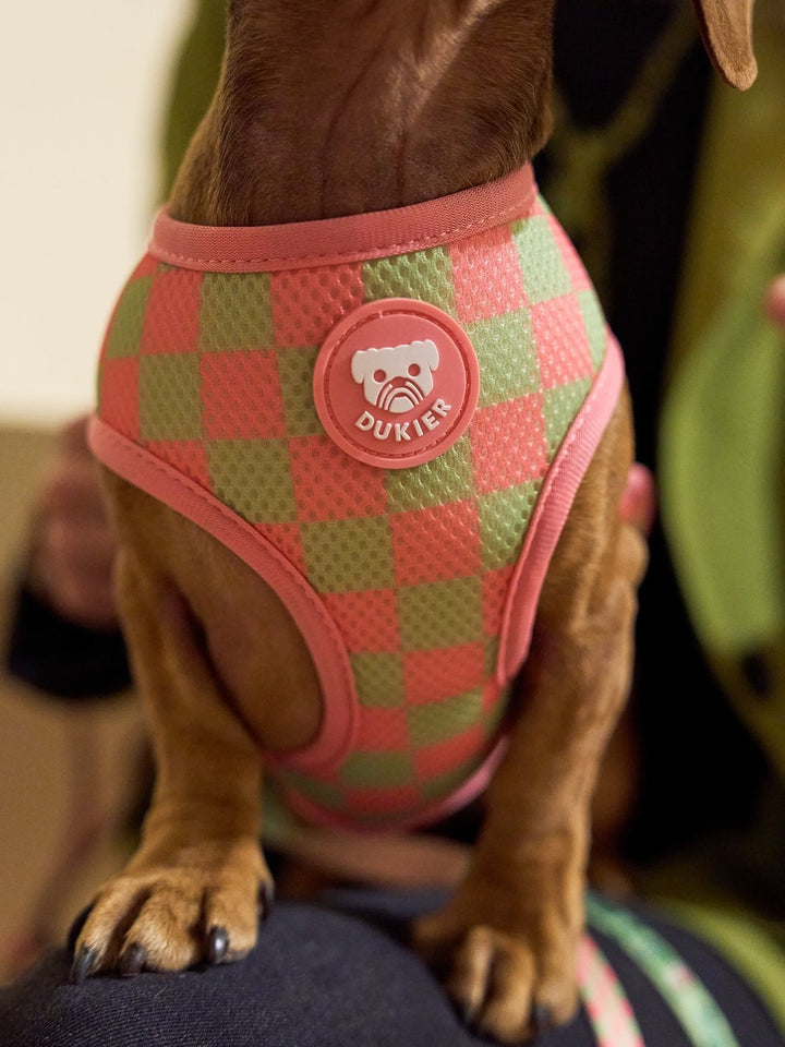 UMKEHRBARE HUNDEGESCHIRR SO MATCHA