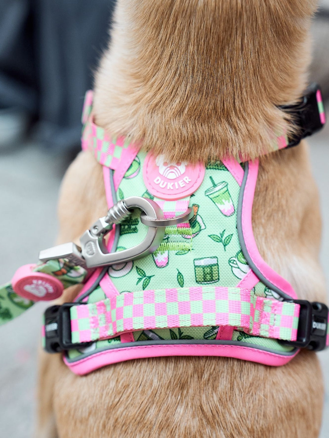 TRAIL HUNDEGESCHIRR SO MATCHA