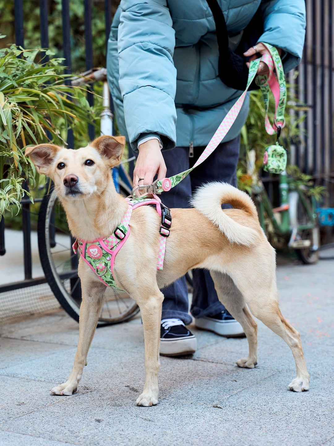 HUNDELEINE SO MATCHA