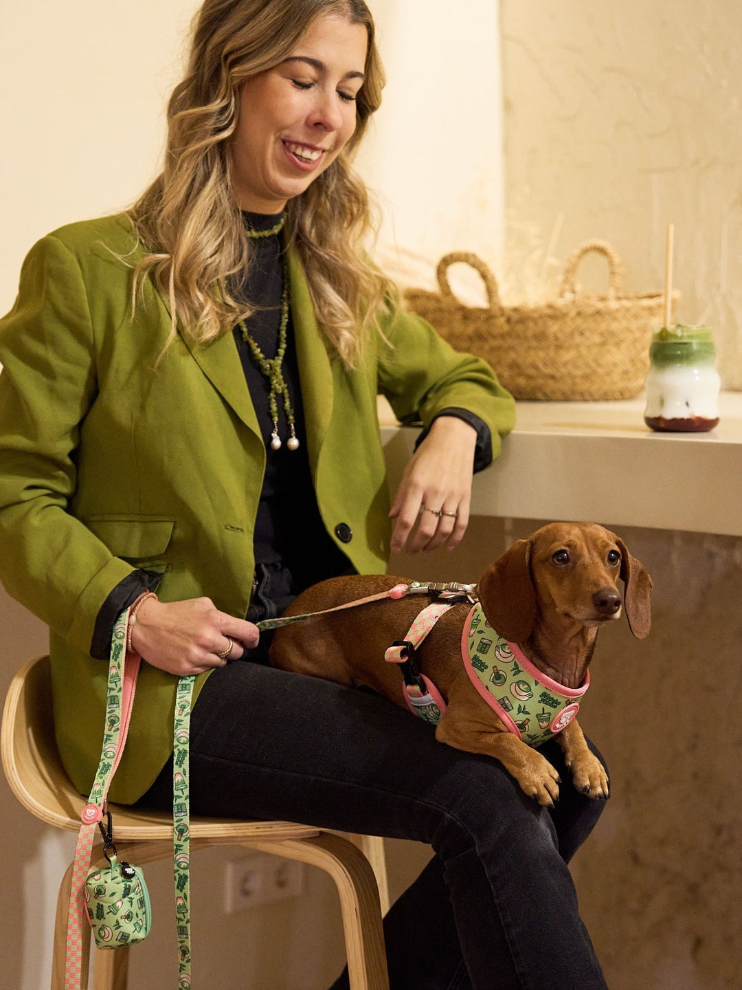 UMKEHRBARE HUNDEGESCHIRR SO MATCHA