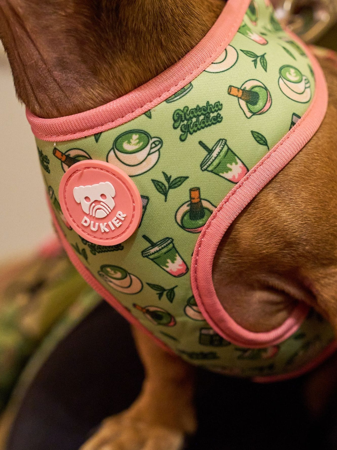 UMKEHRBARE HUNDEGESCHIRR SO MATCHA