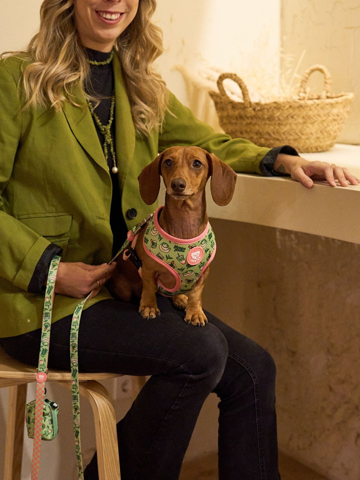 UMKEHRBARE HUNDEGESCHIRR SO MATCHA