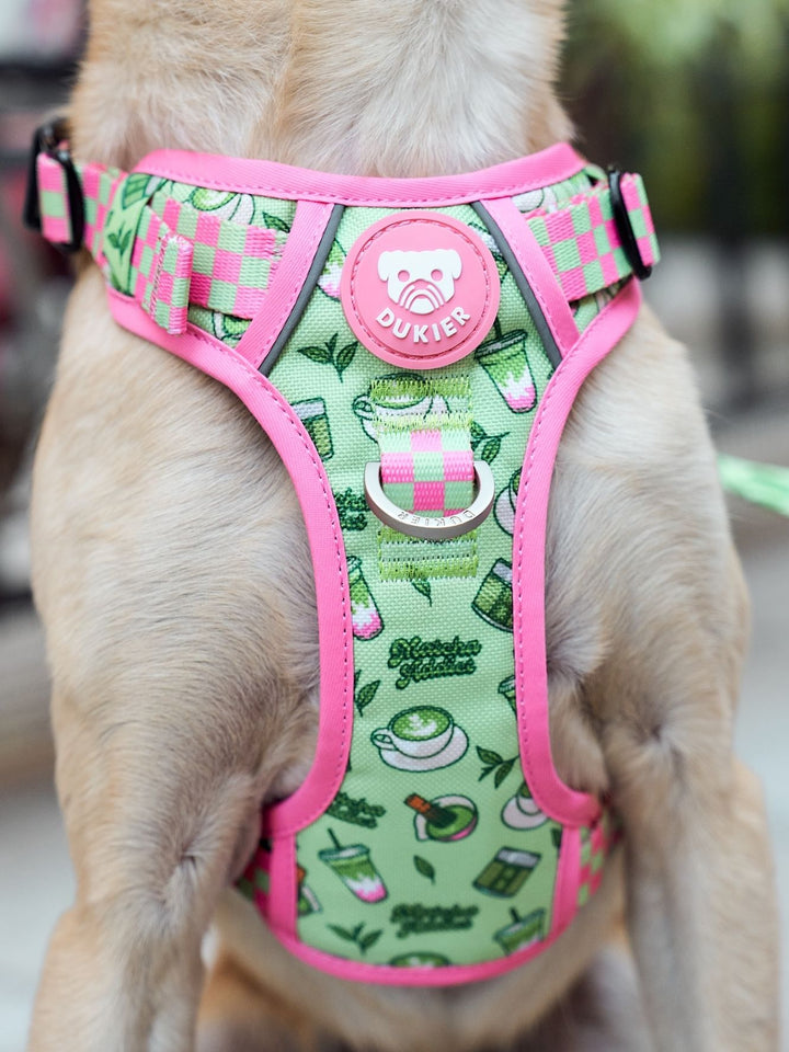 TRAIL HUNDEGESCHIRR SO MATCHA