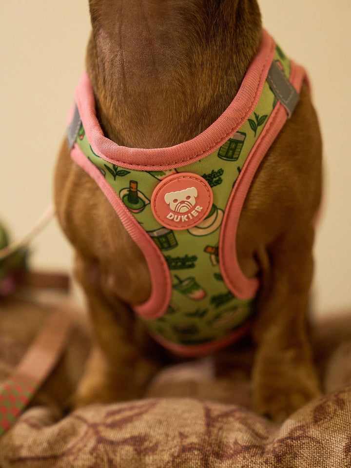 BODY HUNDEGESCHIRR SO MATCHA