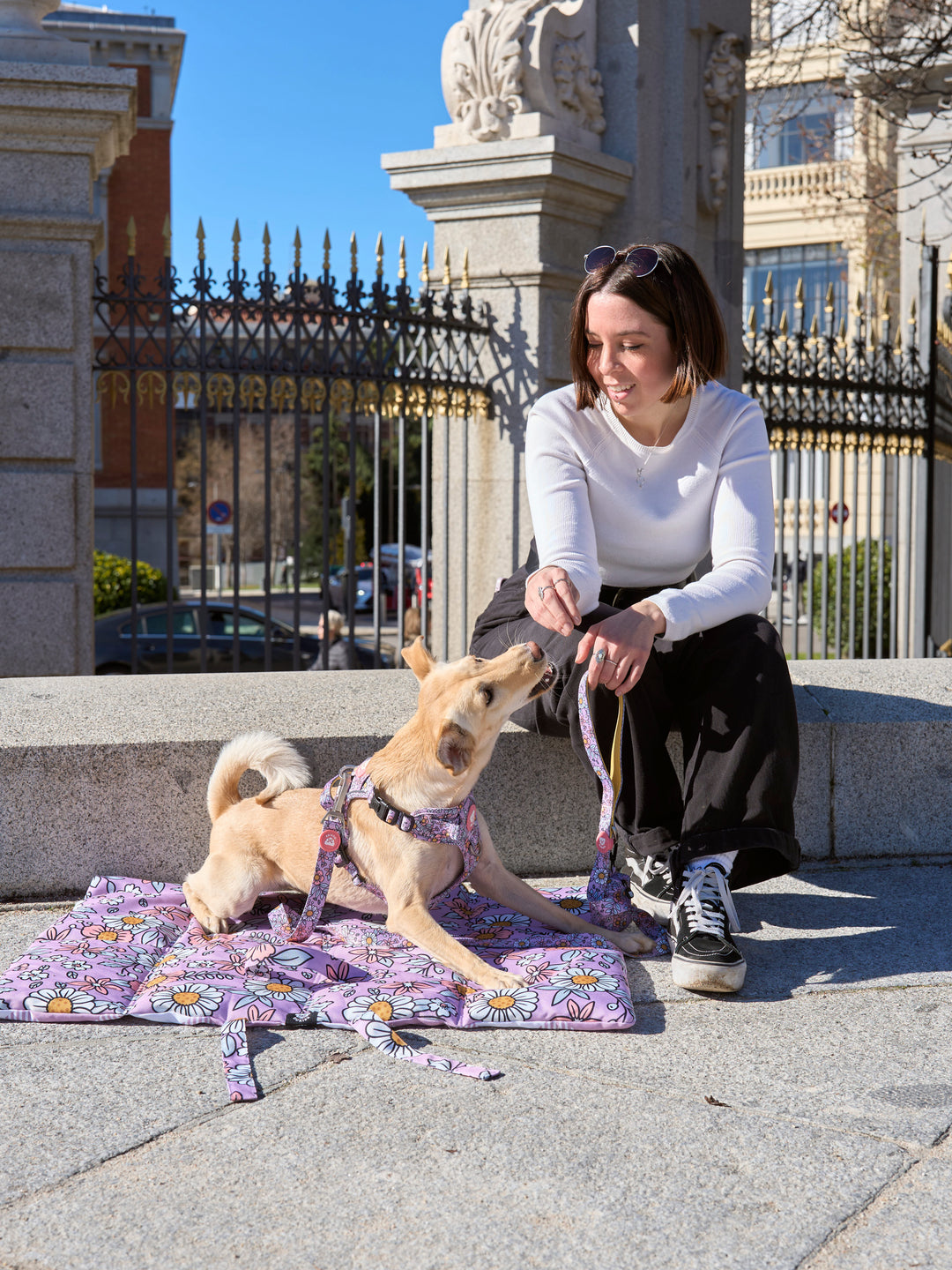 ROLL UP PET MAT: FLOWER POWER