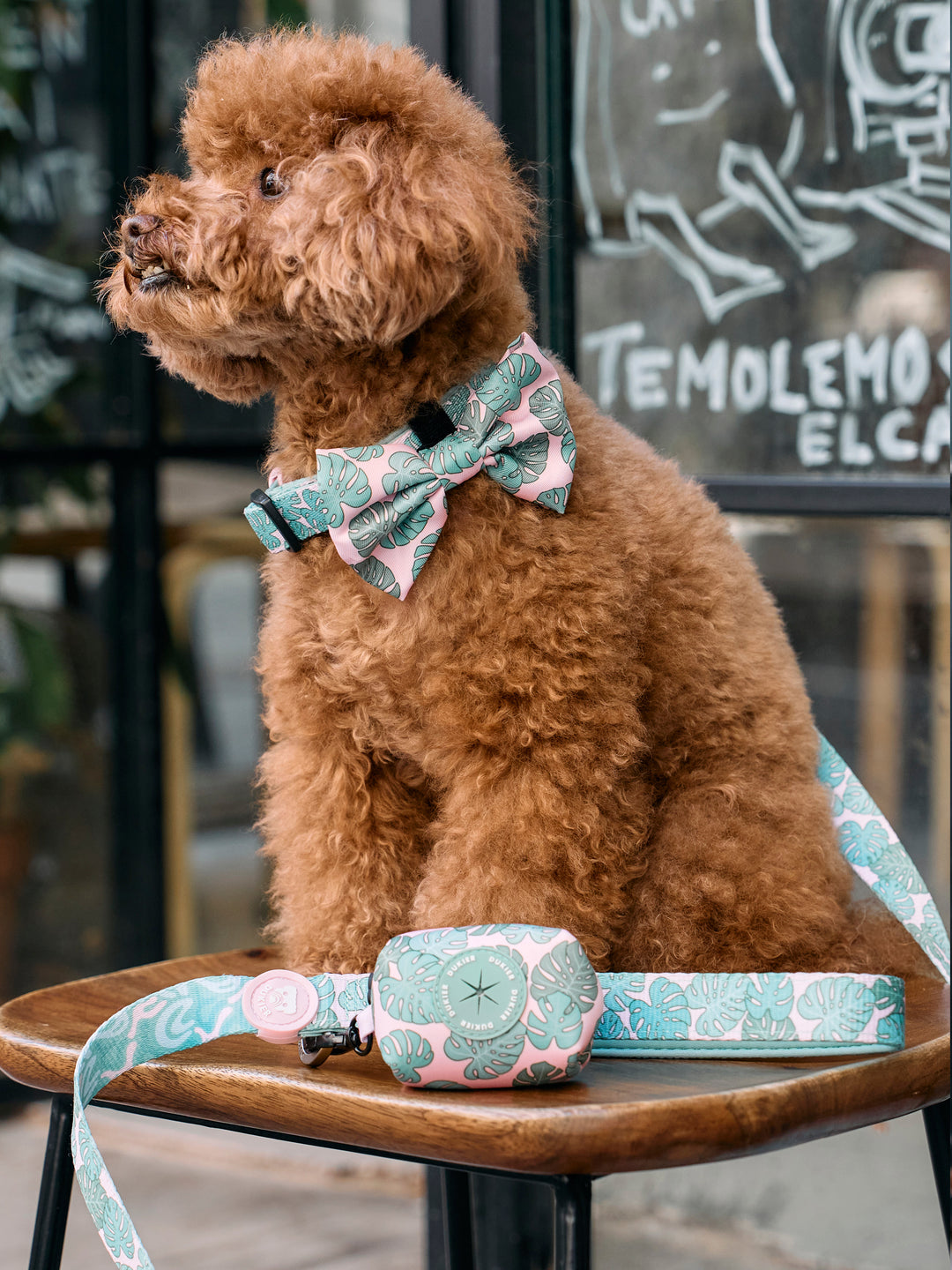 MONSTERA BOW TIE FOR DOGS