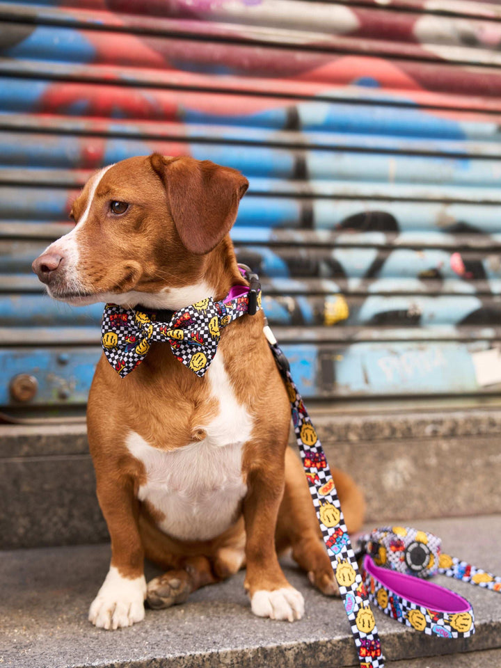 PAJARITA PARA PERRO GRUNGE