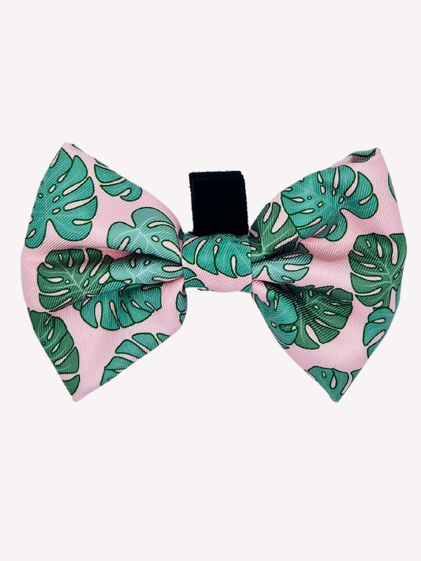MONSTERA BOW TIE 