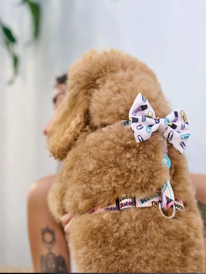 PAJARITA PARA PERRO COOL SCHOOL