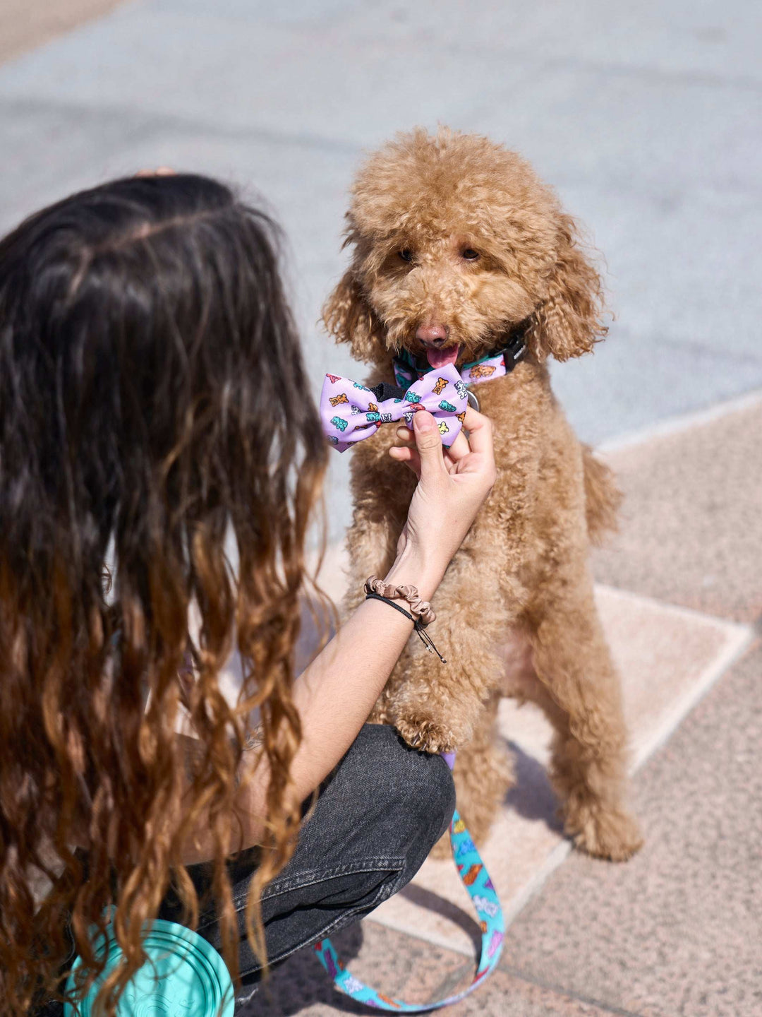 PAJARITA PARA PERRO GUMMY BEARS