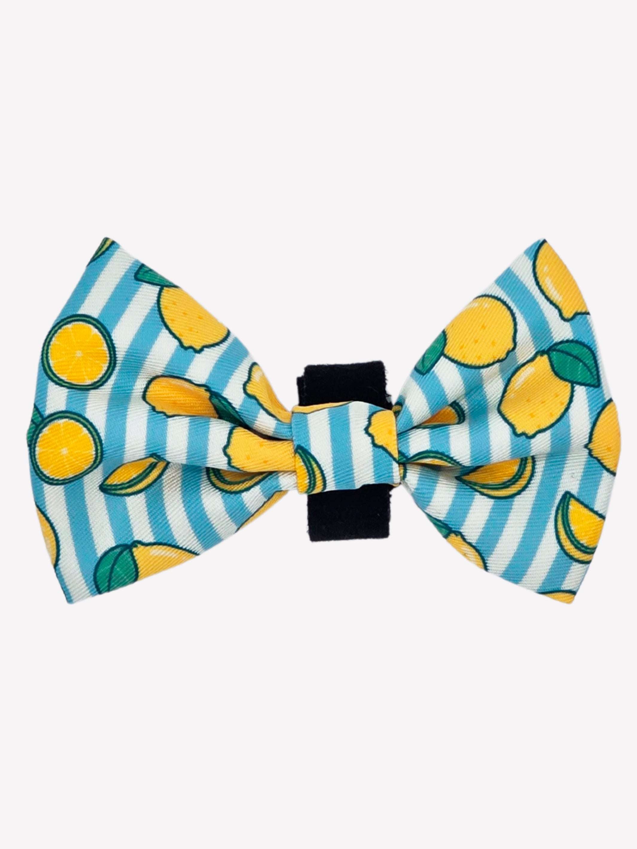 NOEUD PAPILLON LEMONS POUR CHIEN