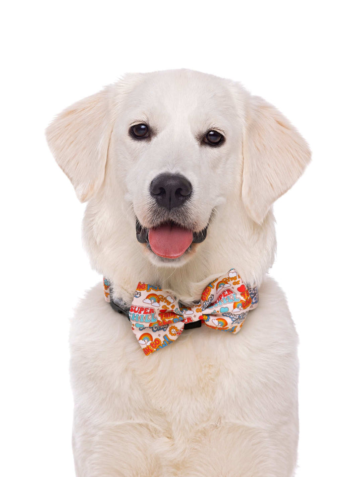 PAJARITA PARA PERRO STICKERS