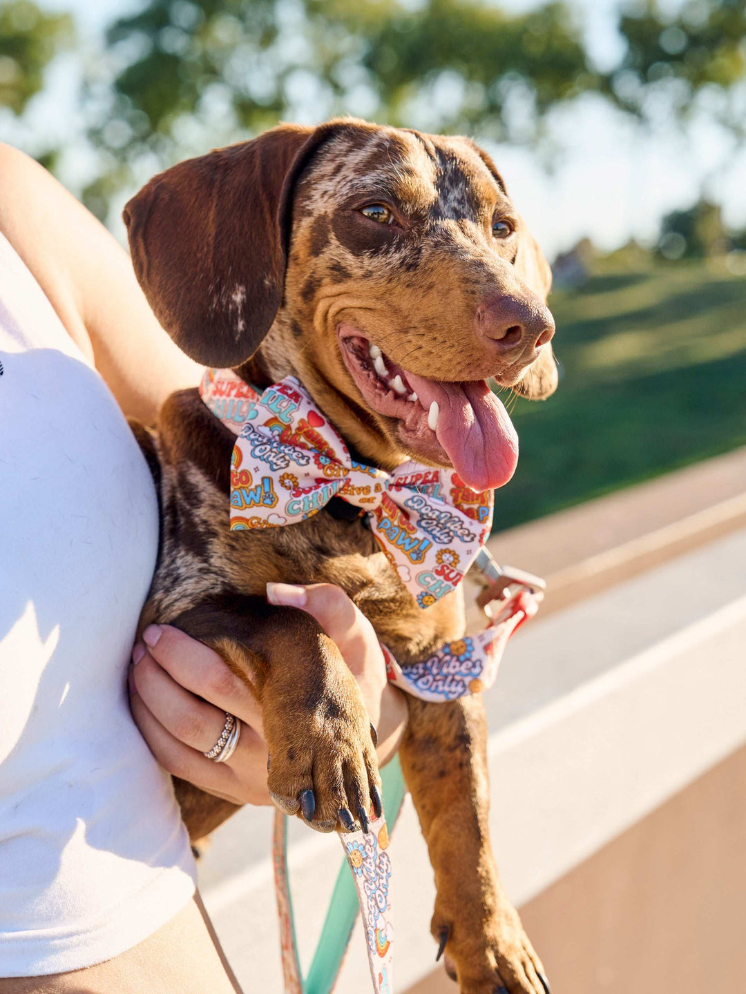 PAJARITA PARA PERRO STICKERS