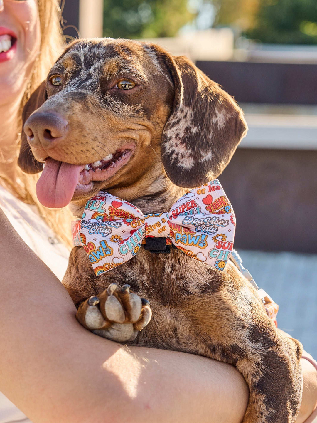 PAJARITA PARA PERRO STICKERS