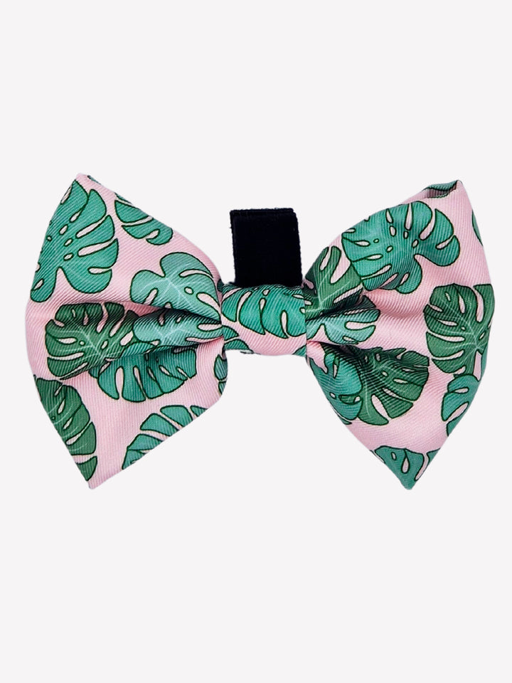 MONSTERA BOW TIE FOR DOGS