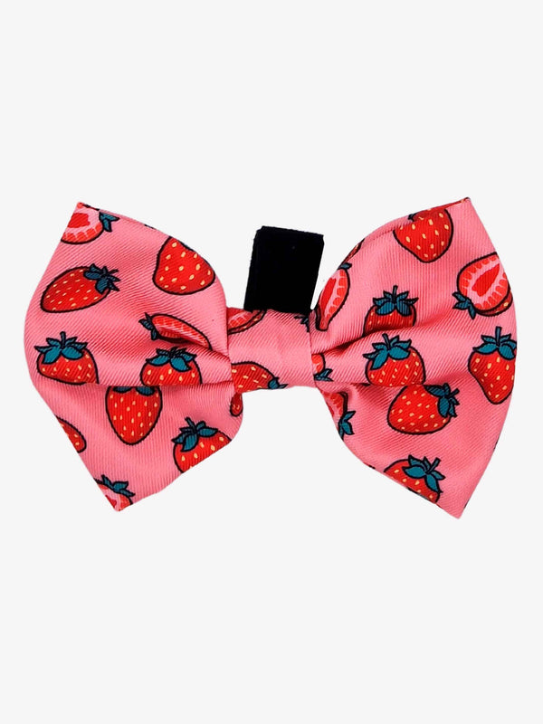 BERRY LOVE BOW TIE 
