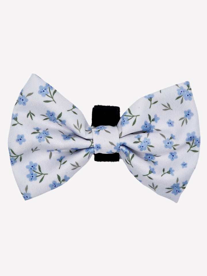 NOEUD PAPILLON BLOOM POUR CHIEN