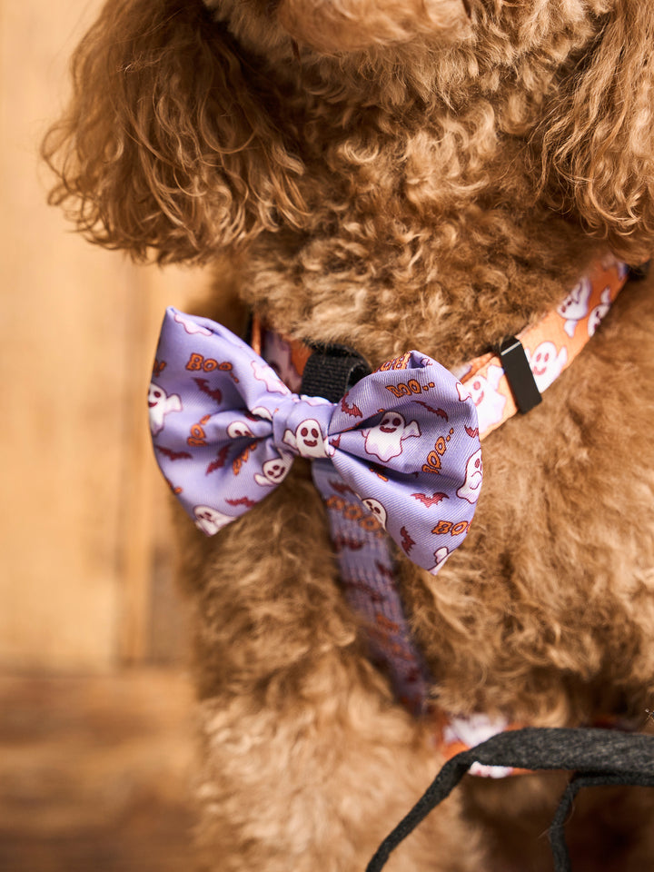 BOOH! BOW TIE FOR DOGS