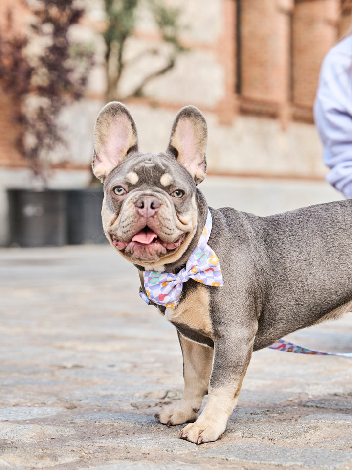 CHESS BOARD BOW TIE FOR DOGS