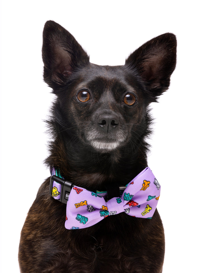 GUMMY BEARS BOW TIE FOR DOGS