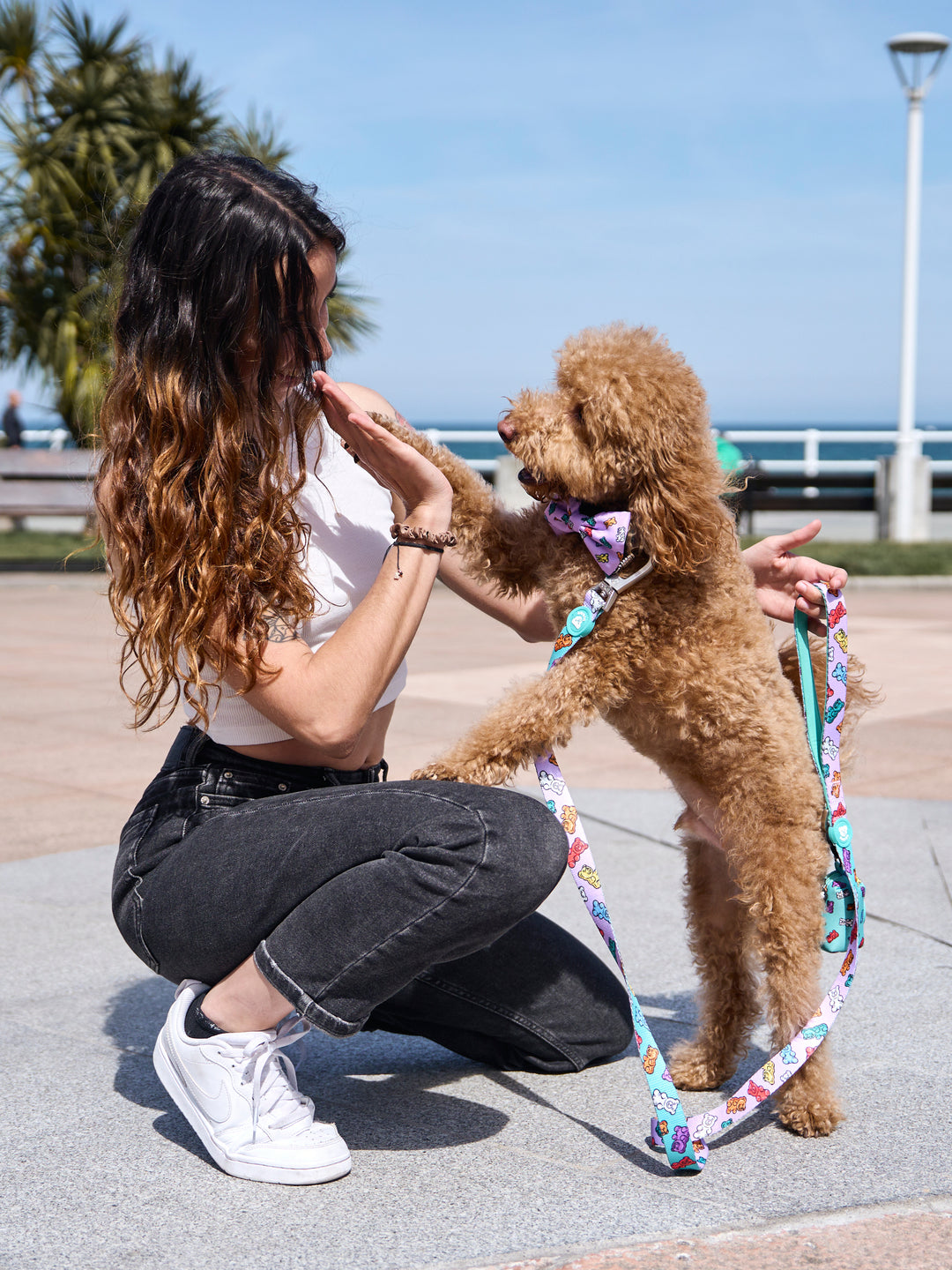 PAJARITA PARA PERRO GUMMY BEARS