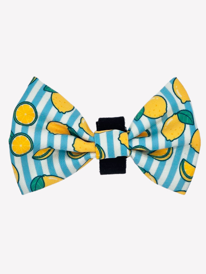 LEMONS BOW TIE FOR DOGS