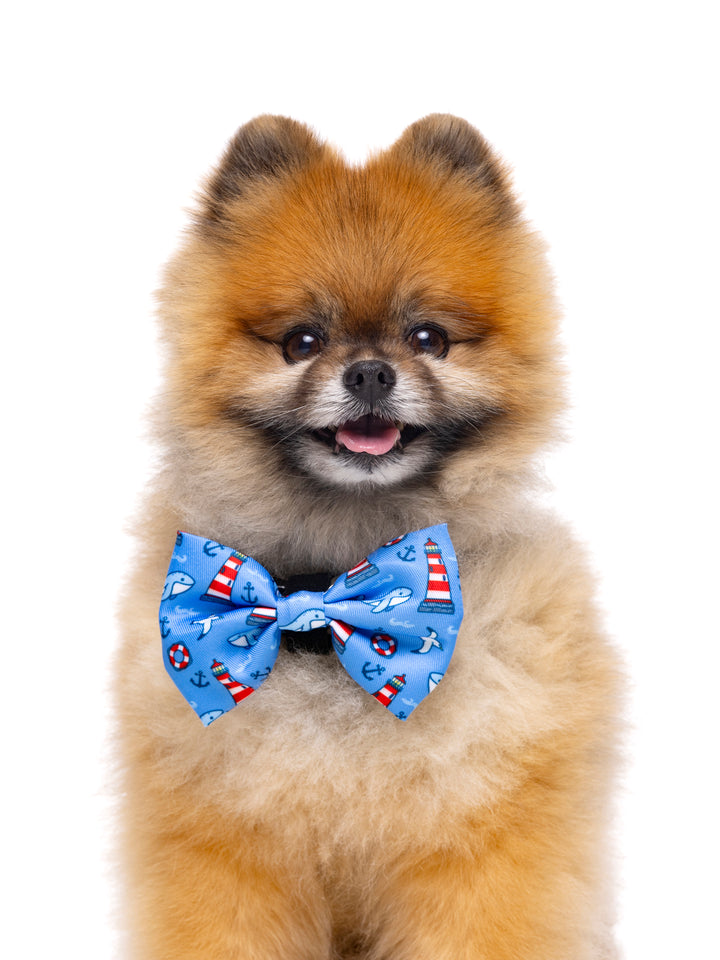 HUND FLIEGE NAVY