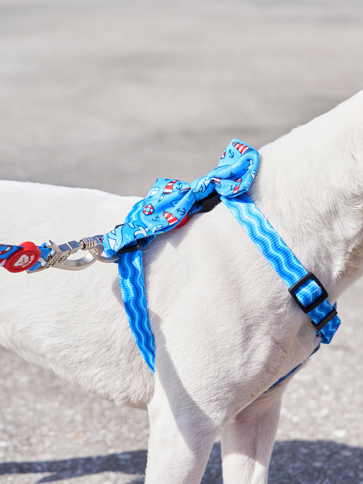 HUND FLIEGE NAVY