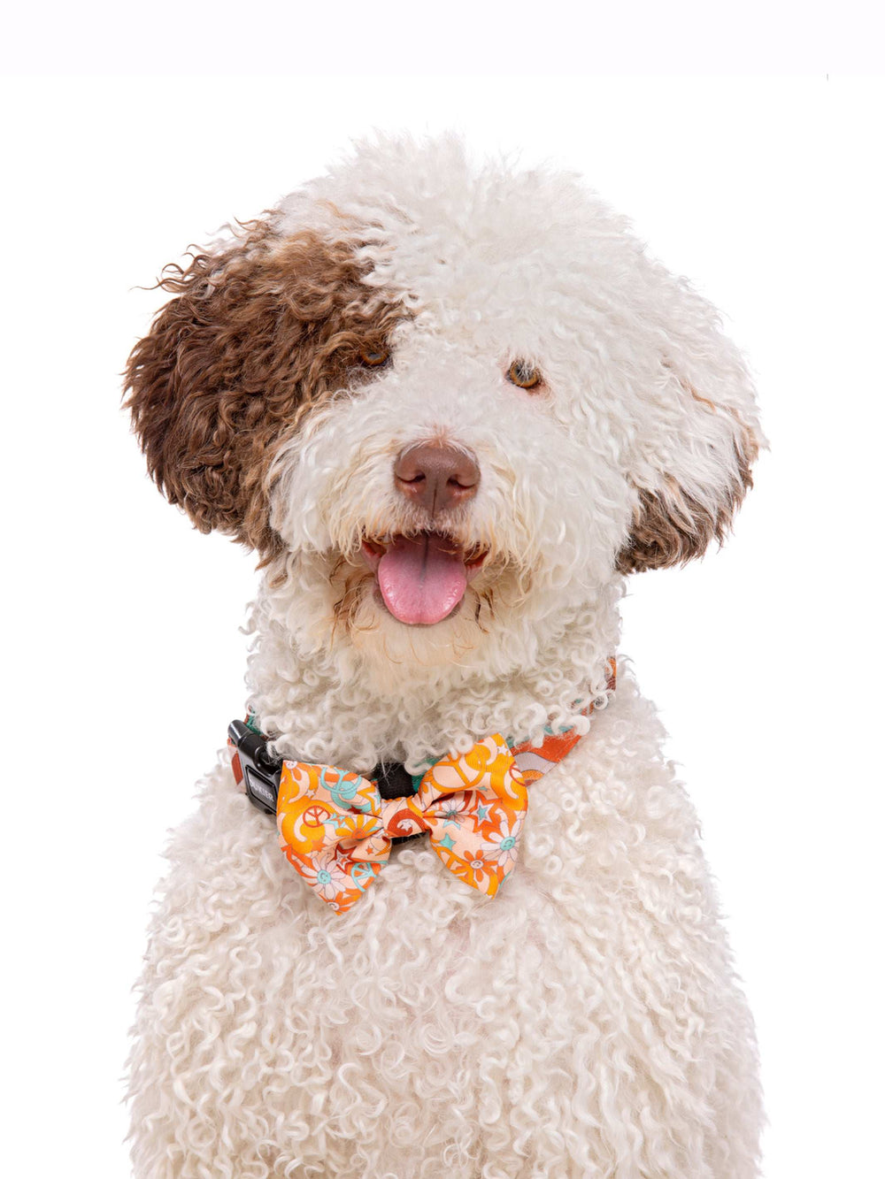 PAJARITA PARA PERRO PEACE