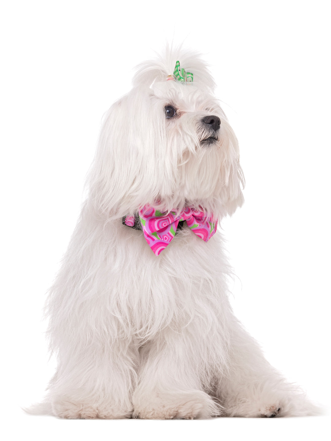 ROLLER DOLL BOW TIE FOR DOGS