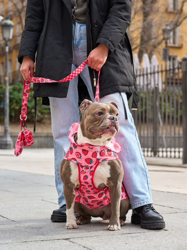 IMPERMEABILE PER CANI BERRY LOVE