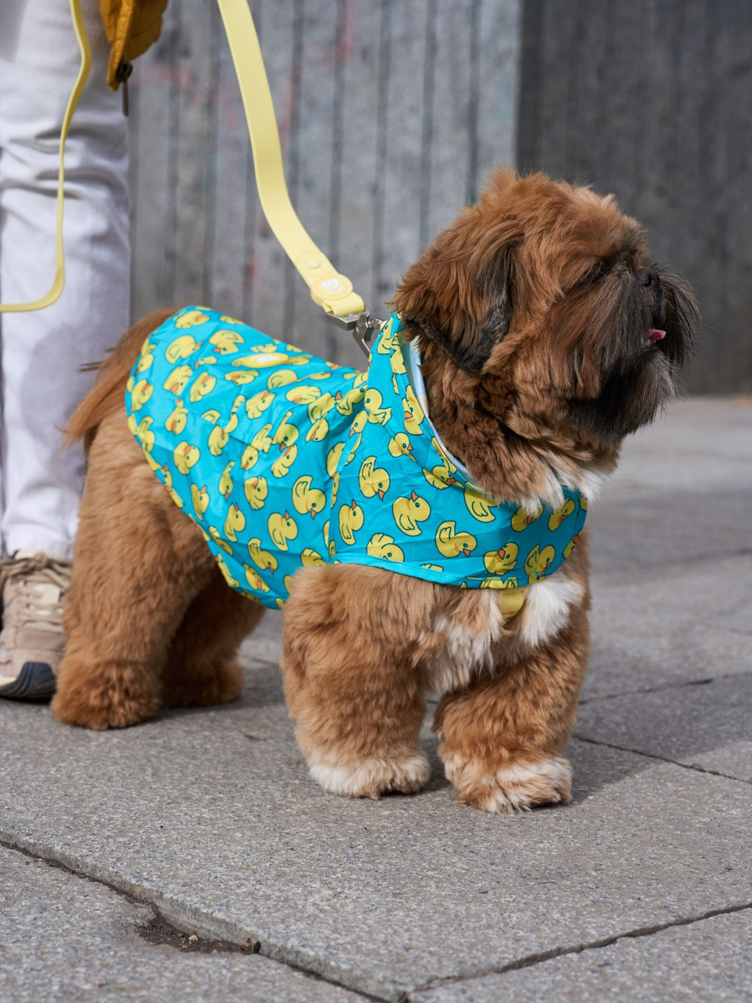 RAINCOAT FOR DOG DUCKS