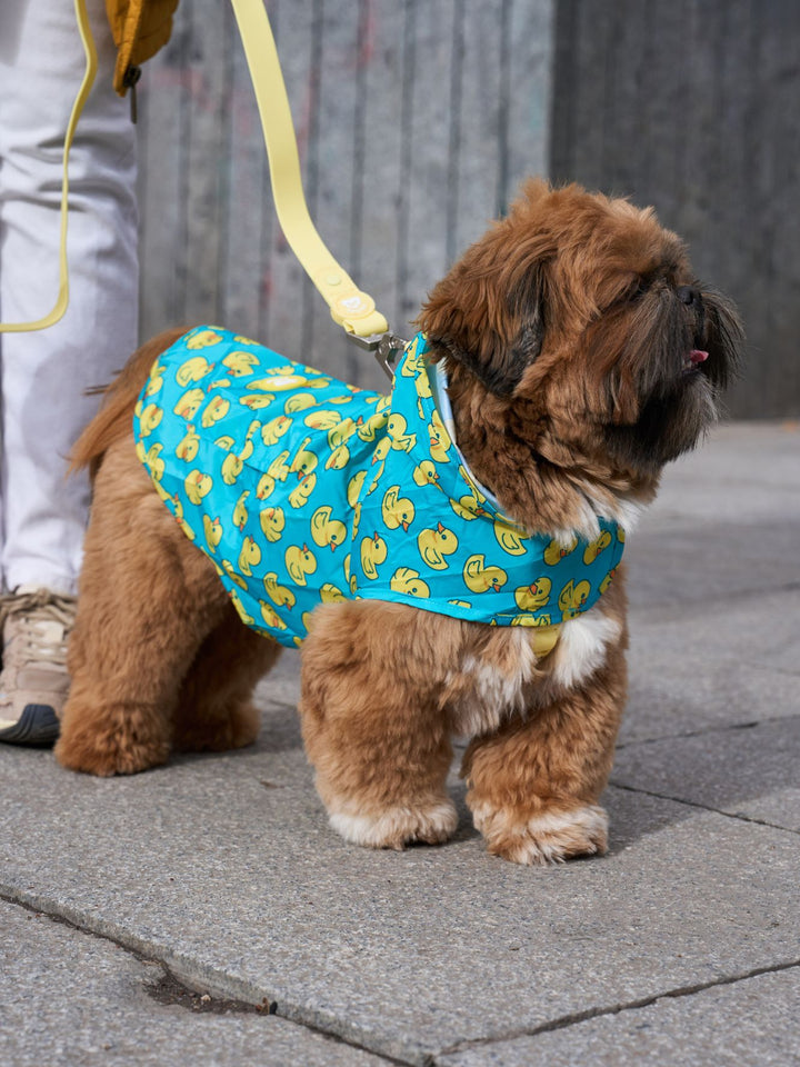 RAINCOAT FOR DOG DUCKS