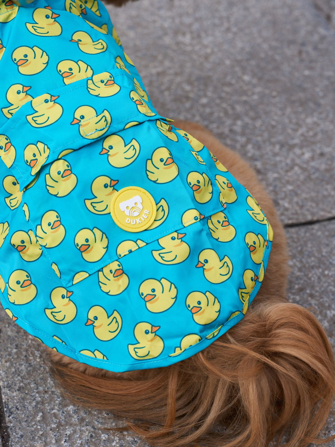 RAINCOAT FOR DOG DUCKS