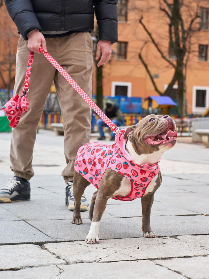 IMPERMEABILE PER CANI BERRY LOVE