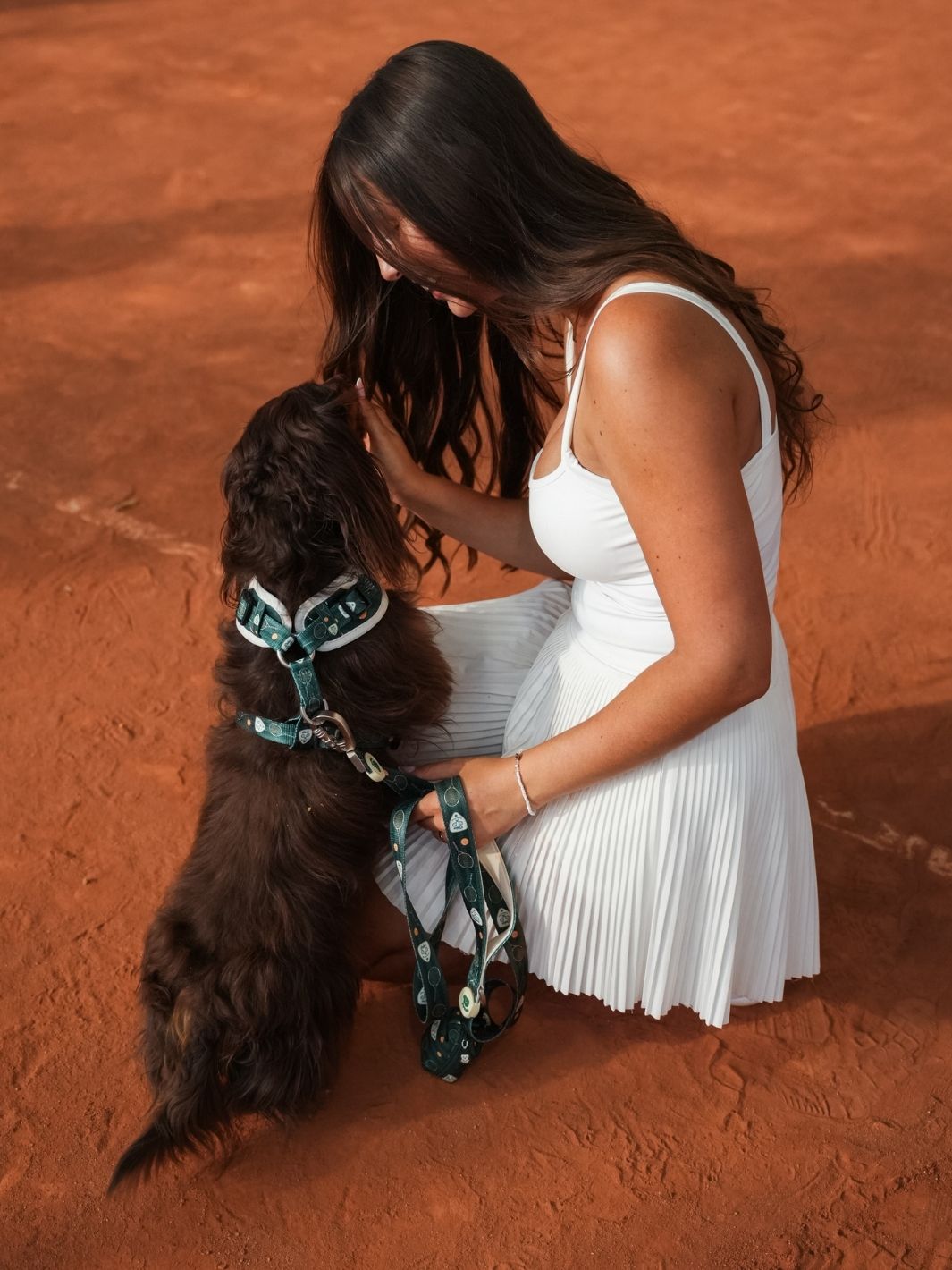 HARNAIS RÉGLABLE POUR CHIEN TENNIS COURT